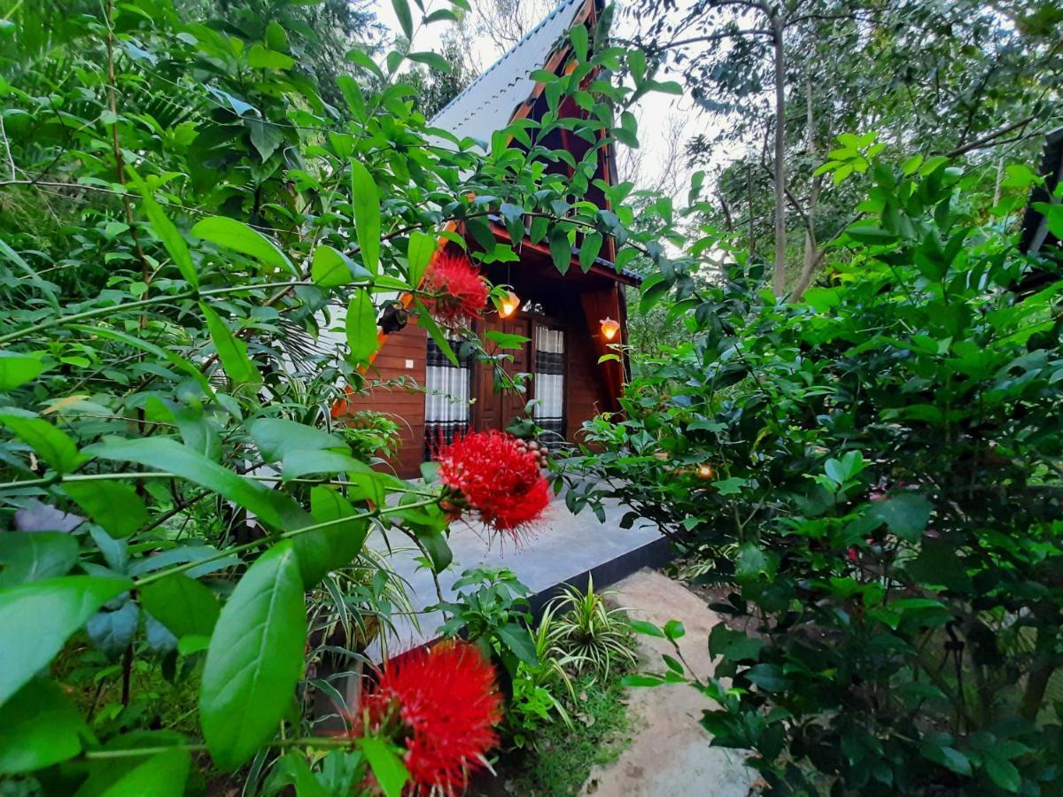 The Otunna Guest House 시기리야 외부 사진